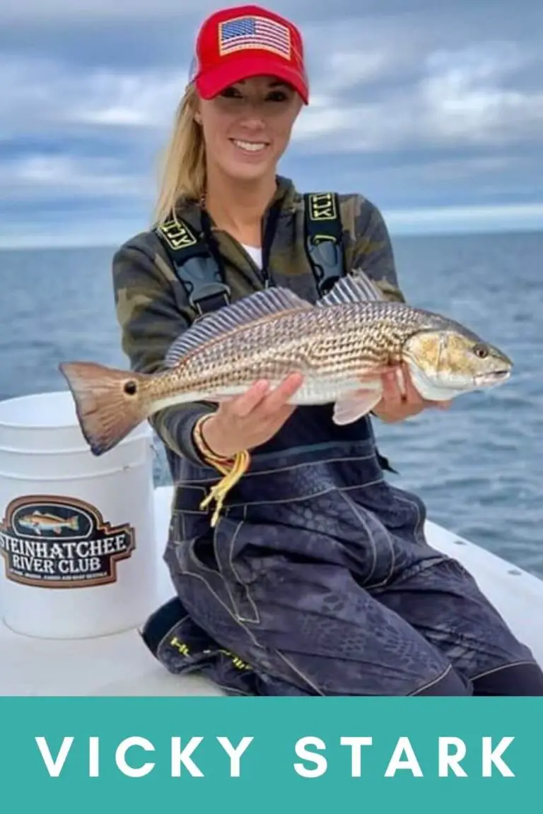 Vicky Stark Net Worth, Relationship, Age, Biography