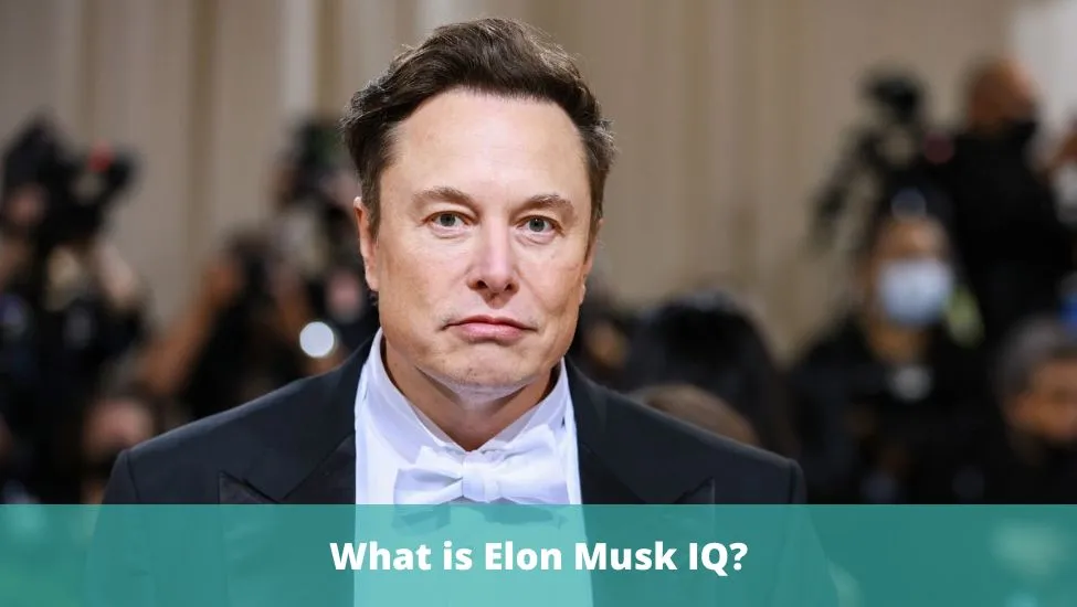 What is Elon Musk IQ?
