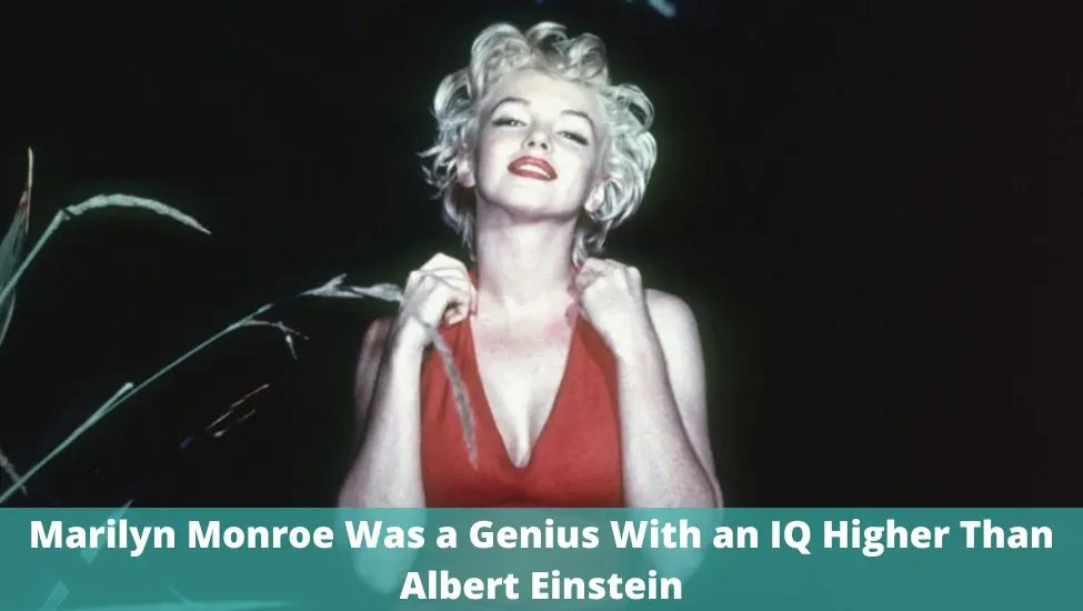 Marilyn Monroe Was a Genius With an IQ Higher Than Albert Einstein