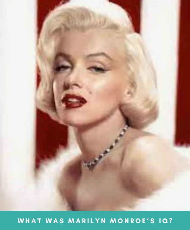 What Was Marilyn Monroe’s IQ