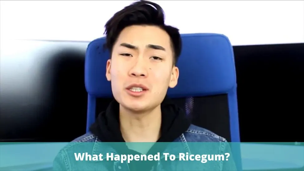 Ricegum Now: What Happened To The Youtuber?