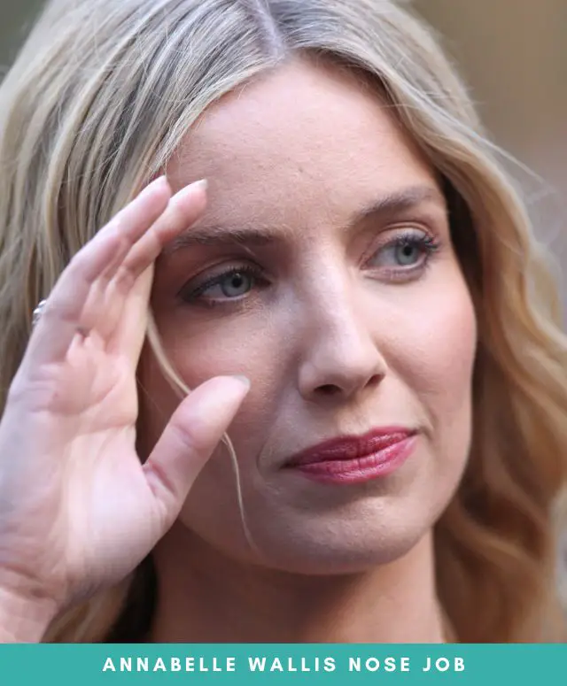 Annabelle Wallis Nose Job