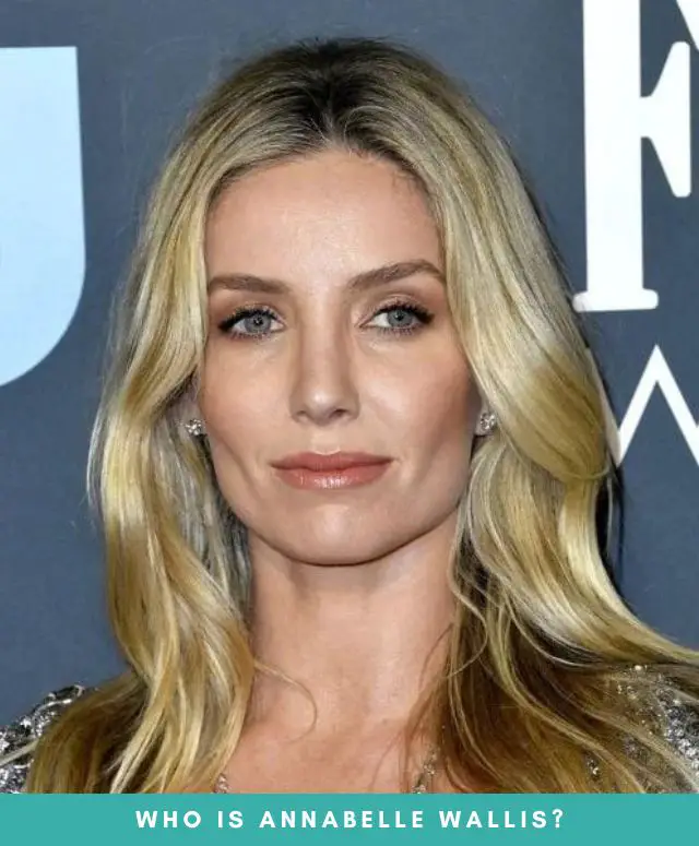 Annabelle Wallis Nose Job