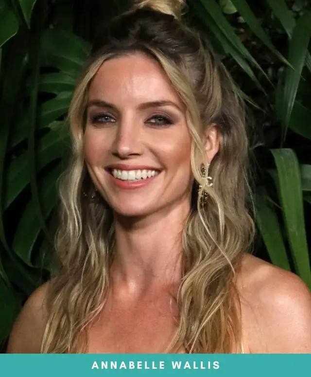 Annabelle Wallis Nose Job