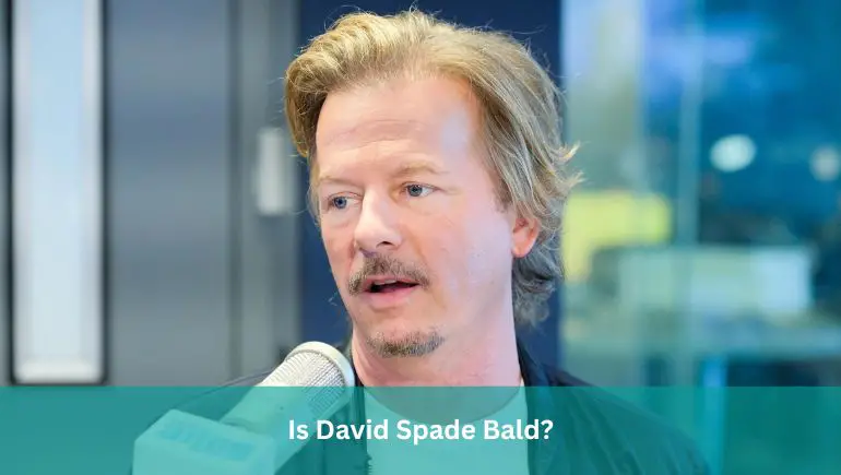 Is David Spade Bald