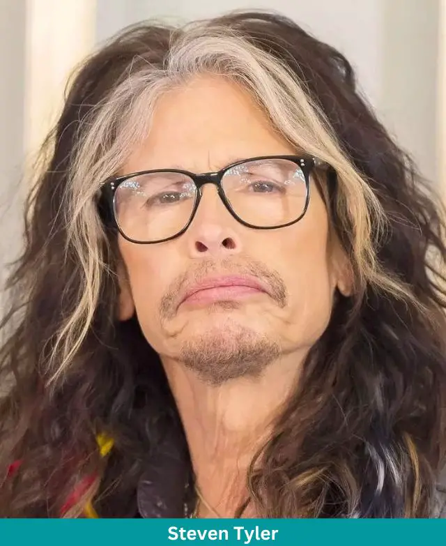 Steven Tyler's Net Worth