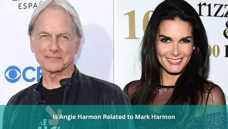 Is Angie Harmon Related to Mark Harmon